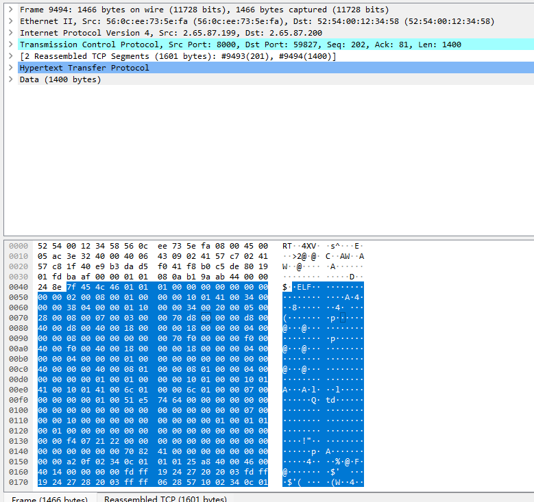 image-20250121133030743